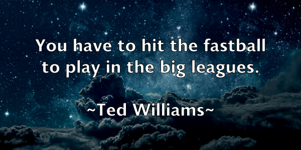 /images/quoteimage/ted-williams-800258.jpg