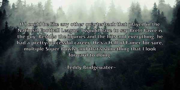 /images/quoteimage/teddy-bridgewater-800336.jpg