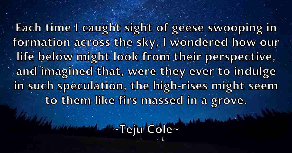 /images/quoteimage/teju-cole-fb-800727.jpg