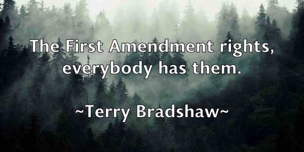/images/quoteimage/terry-bradshaw-802049.jpg