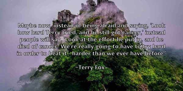 /images/quoteimage/terry-fox-802299.jpg