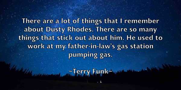 /images/quoteimage/terry-funk-802324.jpg