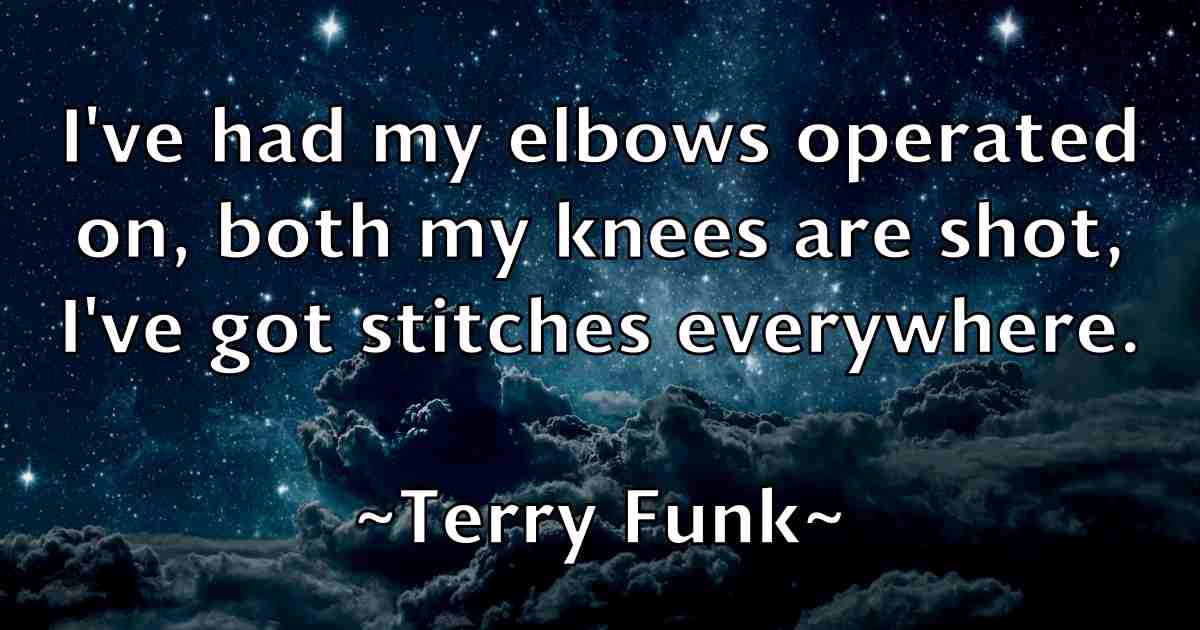 /images/quoteimage/terry-funk-fb-802326.jpg