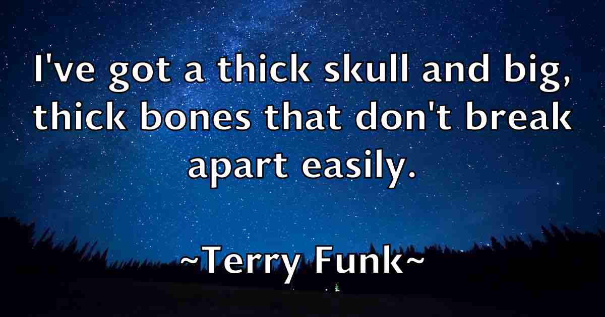 /images/quoteimage/terry-funk-fb-802331.jpg