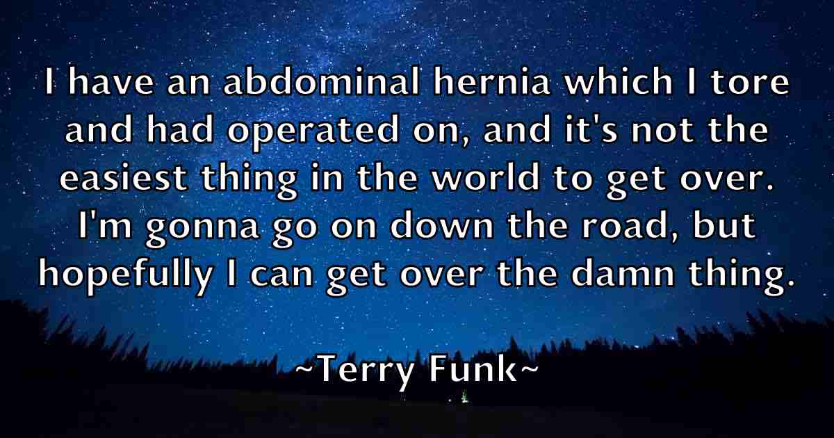 /images/quoteimage/terry-funk-fb-802360.jpg