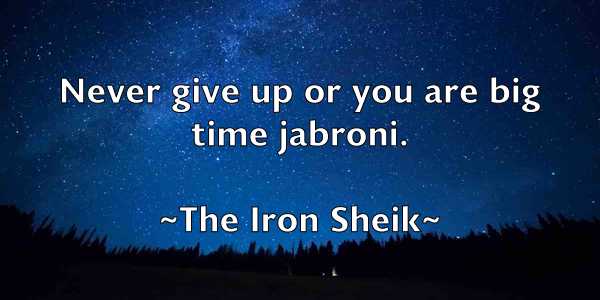 /images/quoteimage/the-iron-sheik-804091.jpg