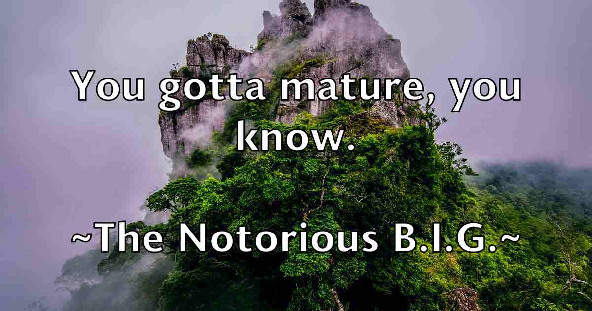 /images/quoteimage/the-notorious-big-fb-804319.jpg