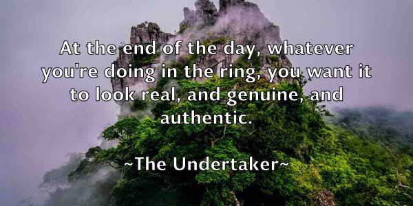 /images/quoteimage/the-undertaker-804379.jpg