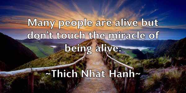 /images/quoteimage/thich-nhat-hanh-806346.jpg