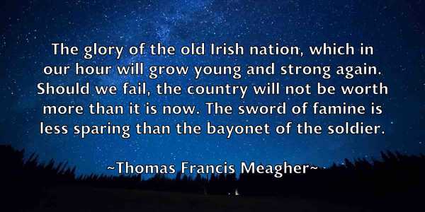 /images/quoteimage/thomas-francis-meagher-807629.jpg