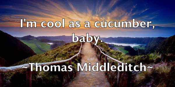 /images/quoteimage/thomas-middleditch-809181.jpg