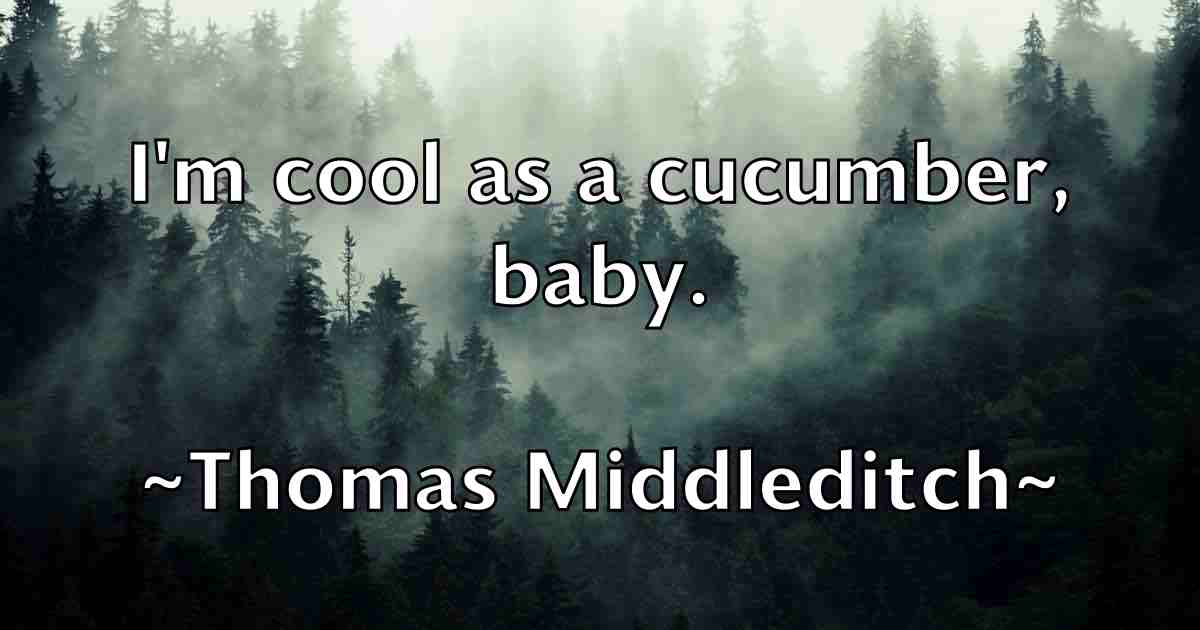 /images/quoteimage/thomas-middleditch-fb-809181.jpg