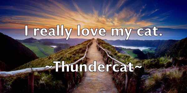 /images/quoteimage/thundercat-thundercat-810384.jpg