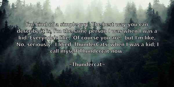 /images/quoteimage/thundercat-thundercat-810391.jpg