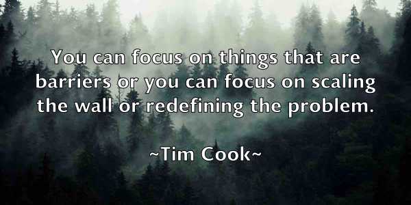 /images/quoteimage/tim-cook-811954.jpg