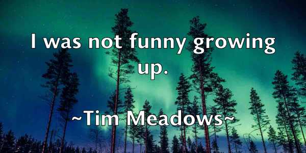 /images/quoteimage/tim-meadows-813154.jpg