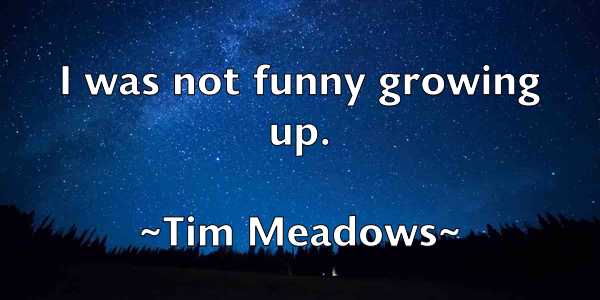 /images/quoteimage/tim-meadows-813154.jpg