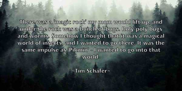 /images/quoteimage/tim-schafer-813795.jpg