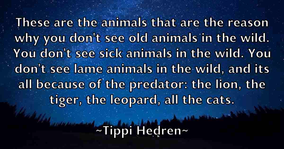 /images/quoteimage/tippi-hedren-fb-816008.jpg