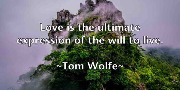 /images/quoteimage/tom-wolfe-822798.jpg