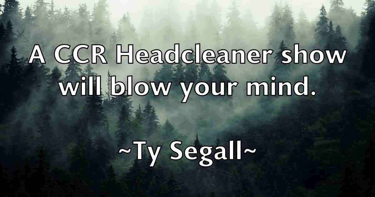 /images/quoteimage/ty-segall-fb-833303.jpg