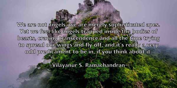 /images/quoteimage/vilayanur-s-ramachandran-843109.jpg