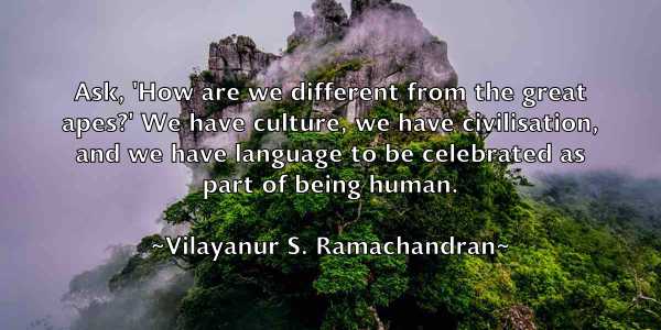 /images/quoteimage/vilayanur-s-ramachandran-843125.jpg