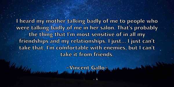 /images/quoteimage/vincent-gallo-843870.jpg