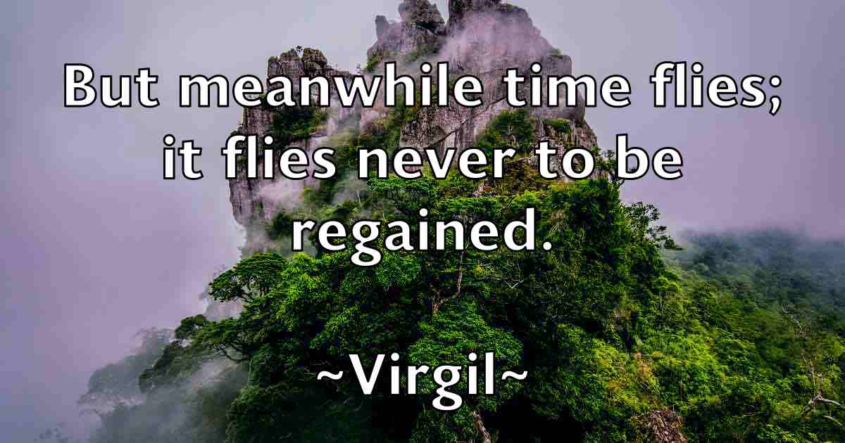 /images/quoteimage/virgil-virgil-fb-845134.jpg