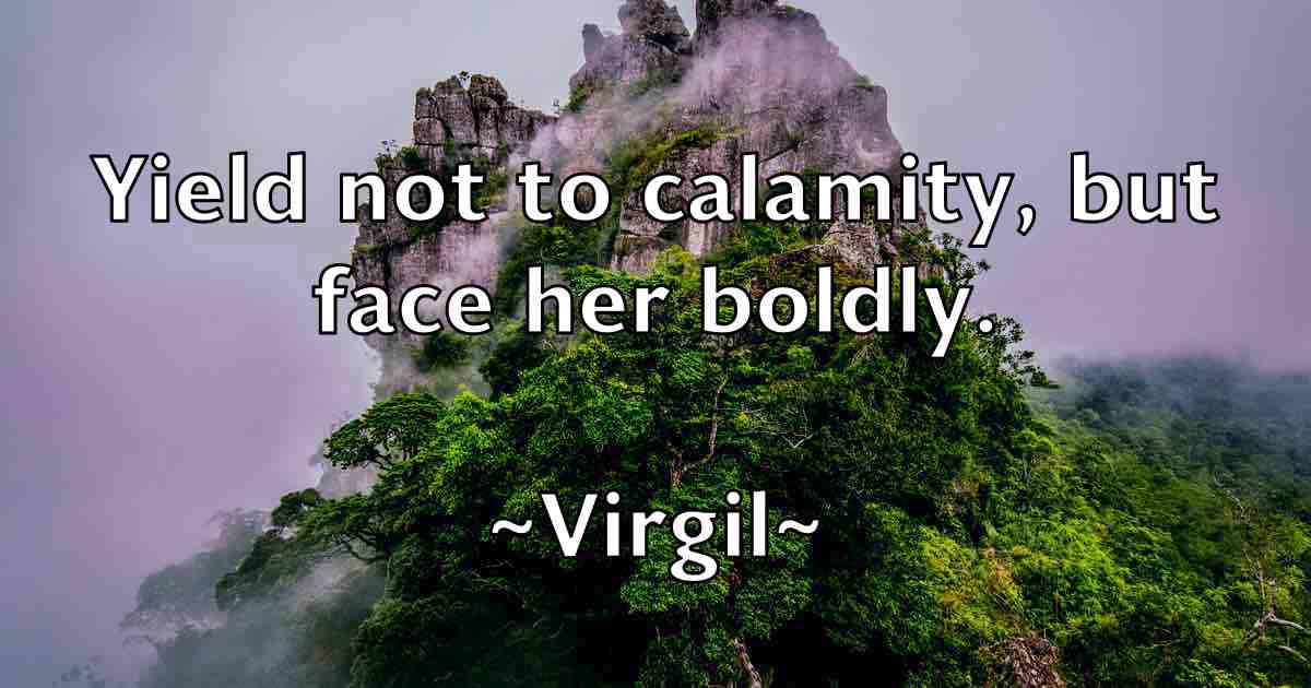 /images/quoteimage/virgil-virgil-fb-845141.jpg
