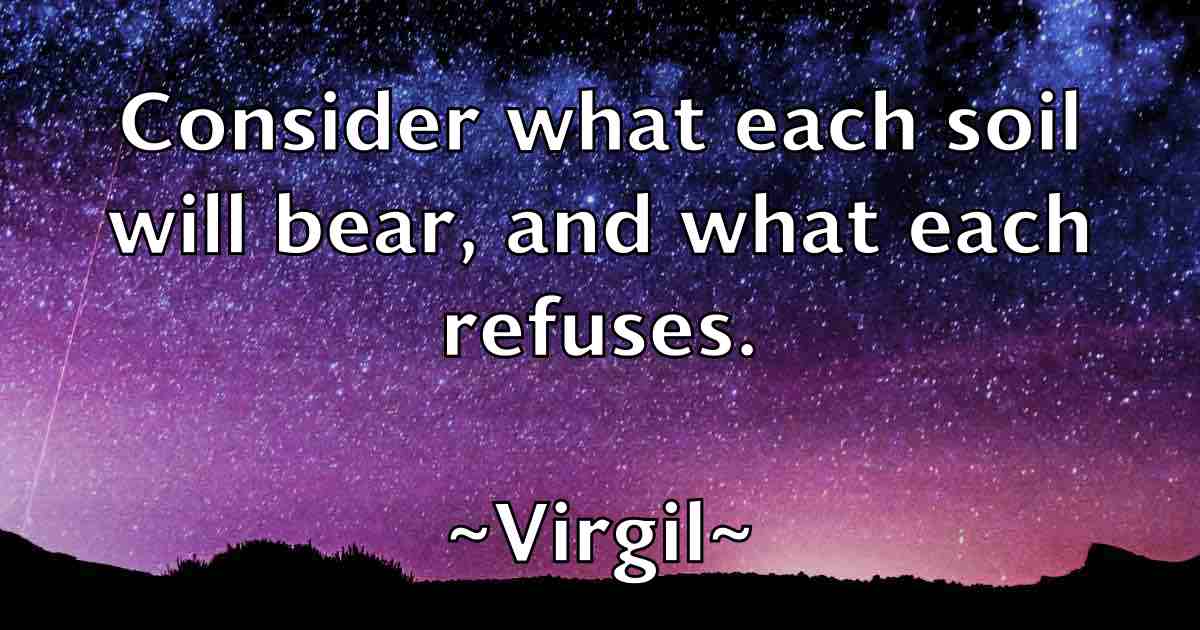 /images/quoteimage/virgil-virgil-fb-845167.jpg