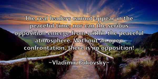 /images/quoteimage/vladimir-bukovsky-847011.jpg