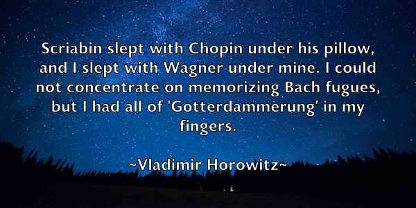 /images/quoteimage/vladimir-horowitz-847026.jpg