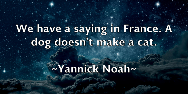 /images/quoteimage/yannick-noah-848490.jpg